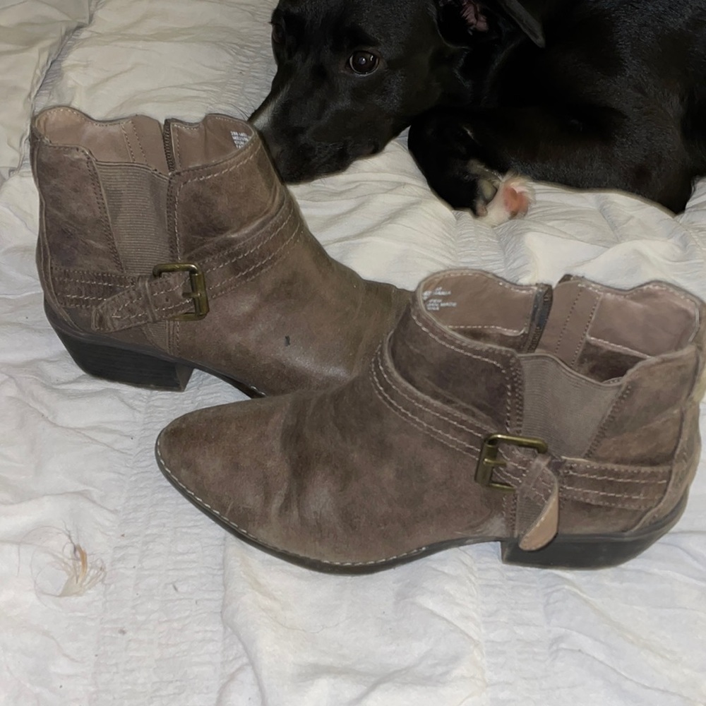 Never worn. Brown low cut boots. 8.5.